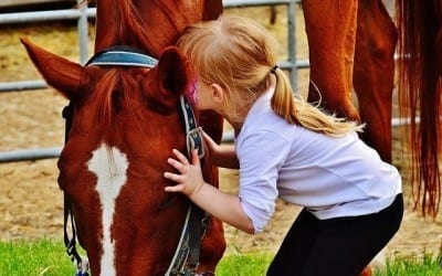 Equine Gestalt Work for Kids