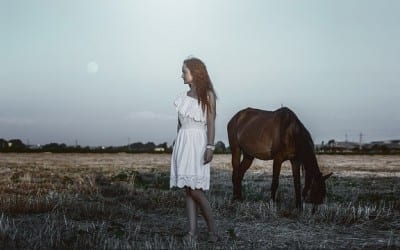 How Horses Can Help with Trust Issues