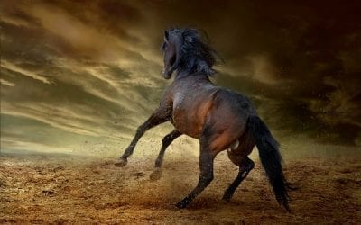 Hidden Abuse – A Look at Non-Physical Types of Abuse